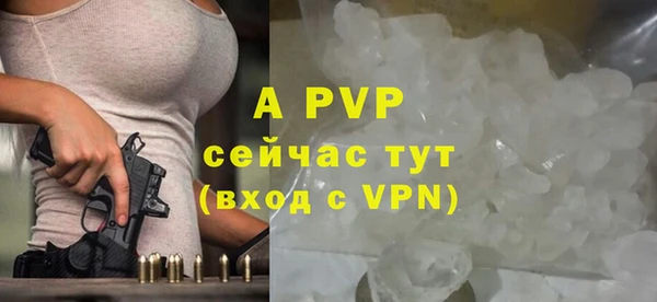 стафф Осташков
