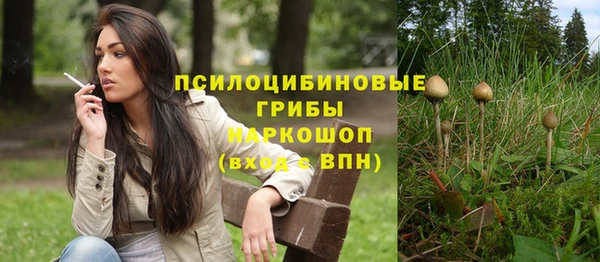 стафф Осташков