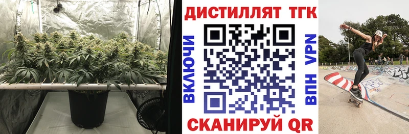 Дистиллят ТГК концентрат  купить наркотик  Анива 