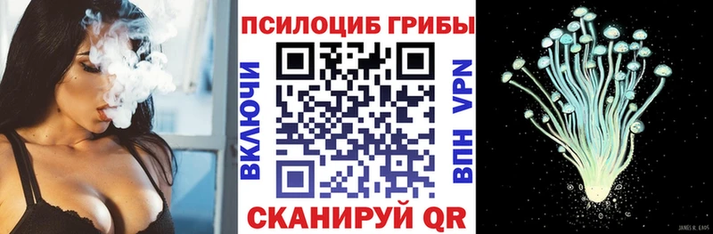 Галлюциногенные грибы GOLDEN TEACHER купить закладку Анива